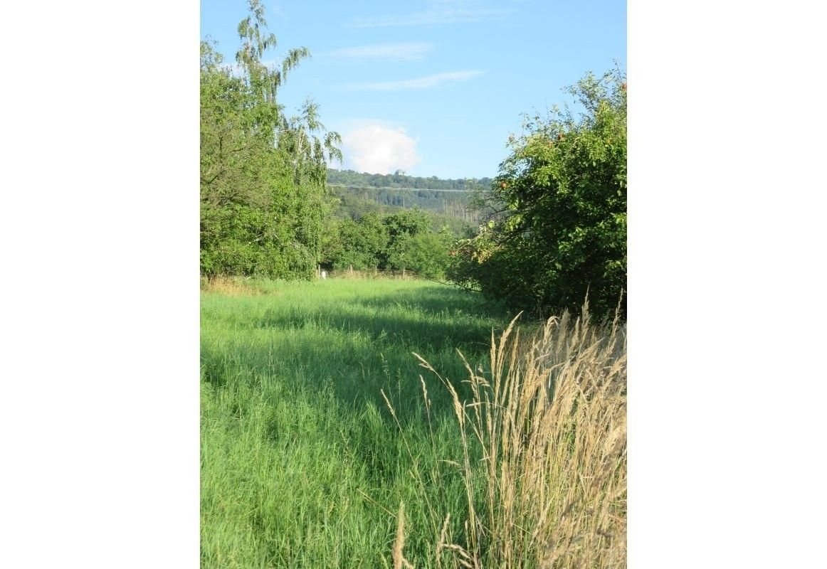Ostatní, Bystřice pod Hostýnem, 6 057 m² - 2