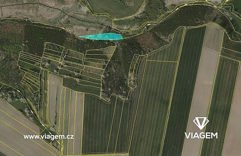 Les · Budeč, okres Jindřichův Hradec, Jihočeský kraj - 3