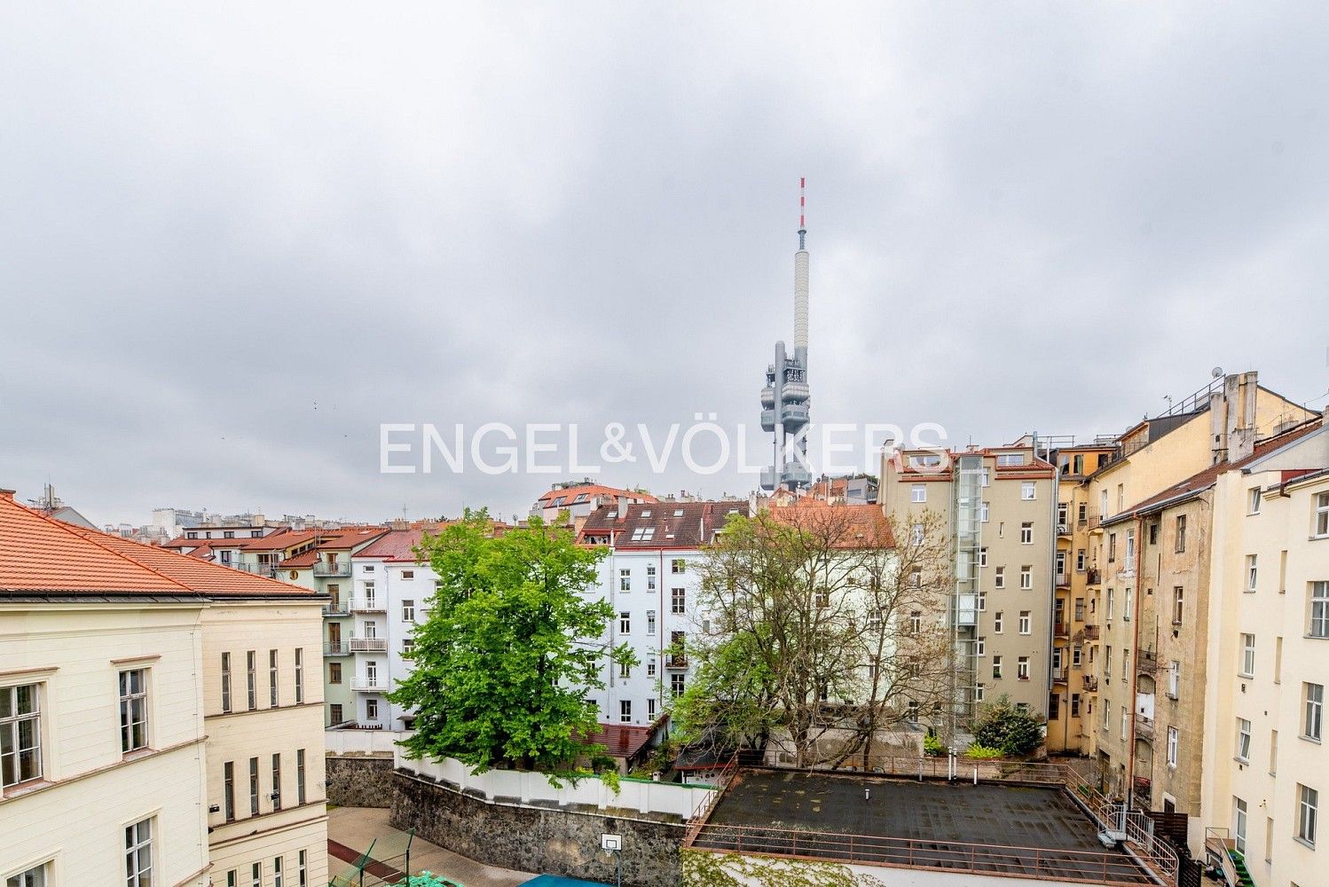 Pronájem kancelář - Praha - Žižkov, okres Praha 3, Hlavní město Praha, 132 m² - 5
