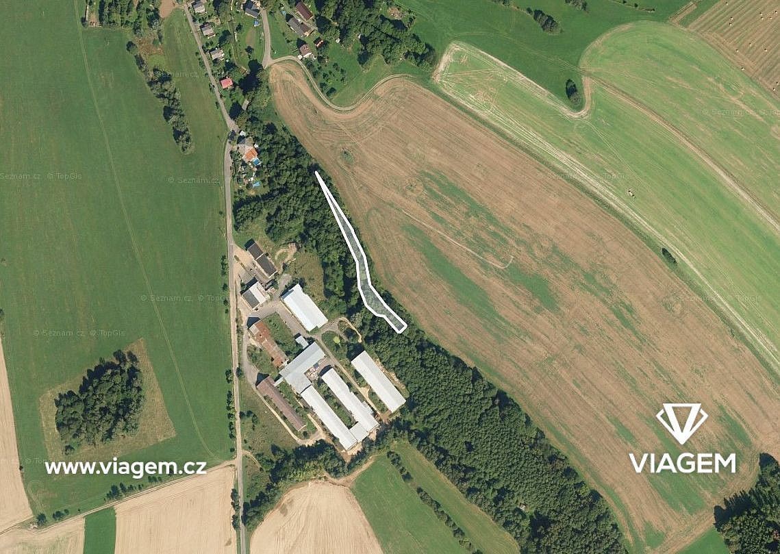 Prodej les - Proseč, okres Chrudim, Pardubický kraj - 1