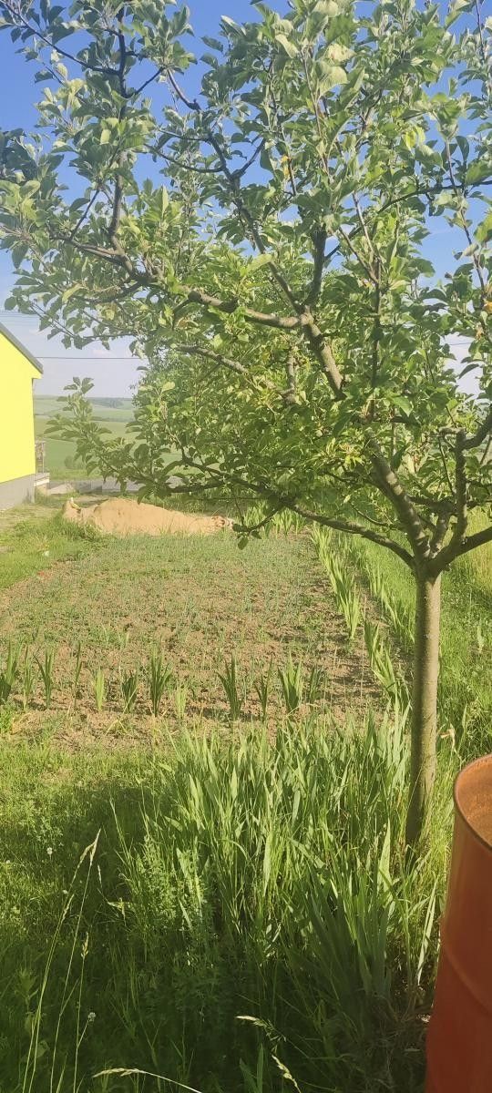 Pozemek pro bydlení, 2 431 m²
