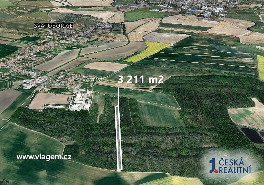 Prodej les - Svatobořice-Mistřín, okres Hodonín, Jihomoravský kraj - 2