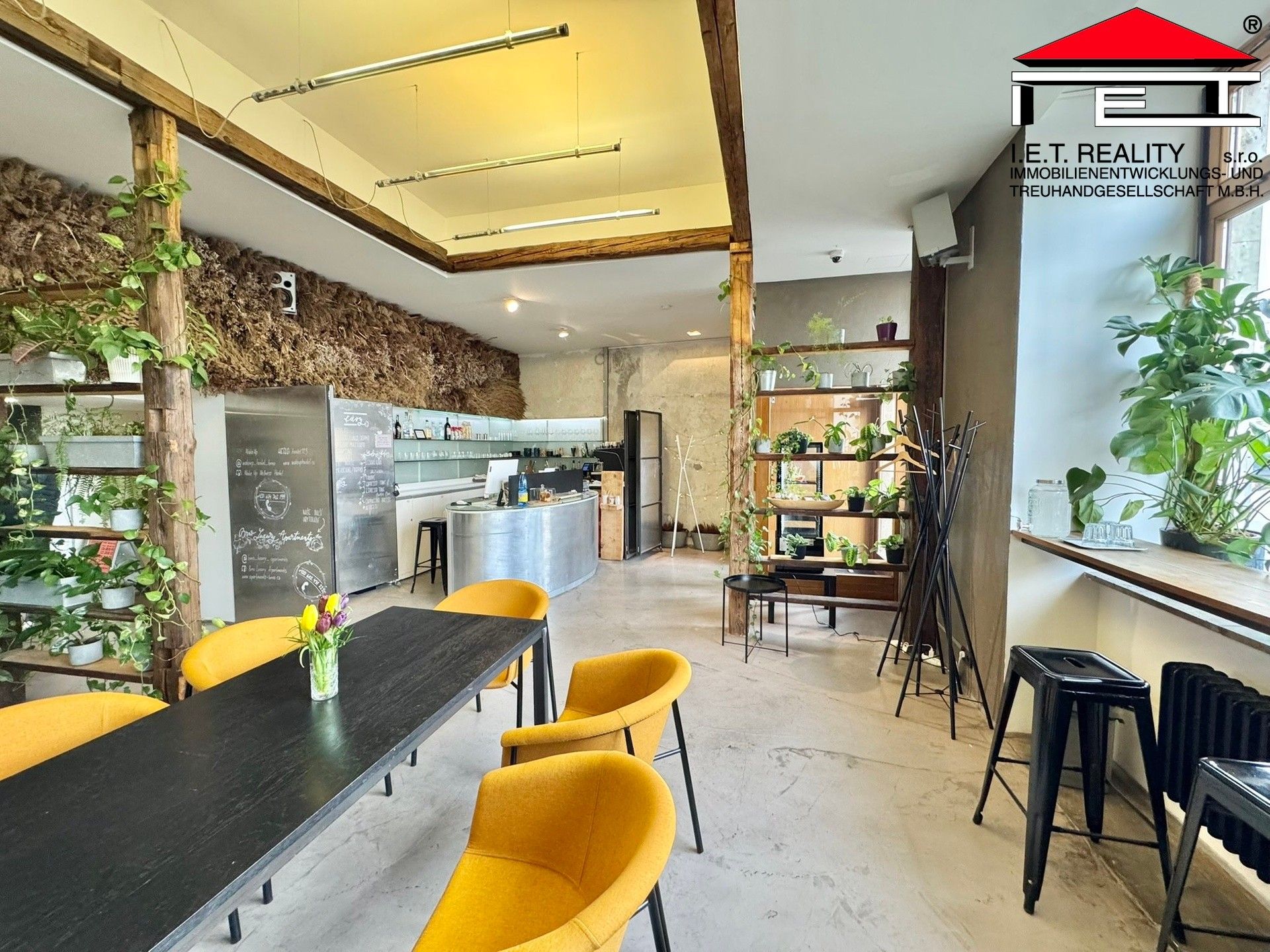 Restaurace, Křenová, Brno, 100 m²