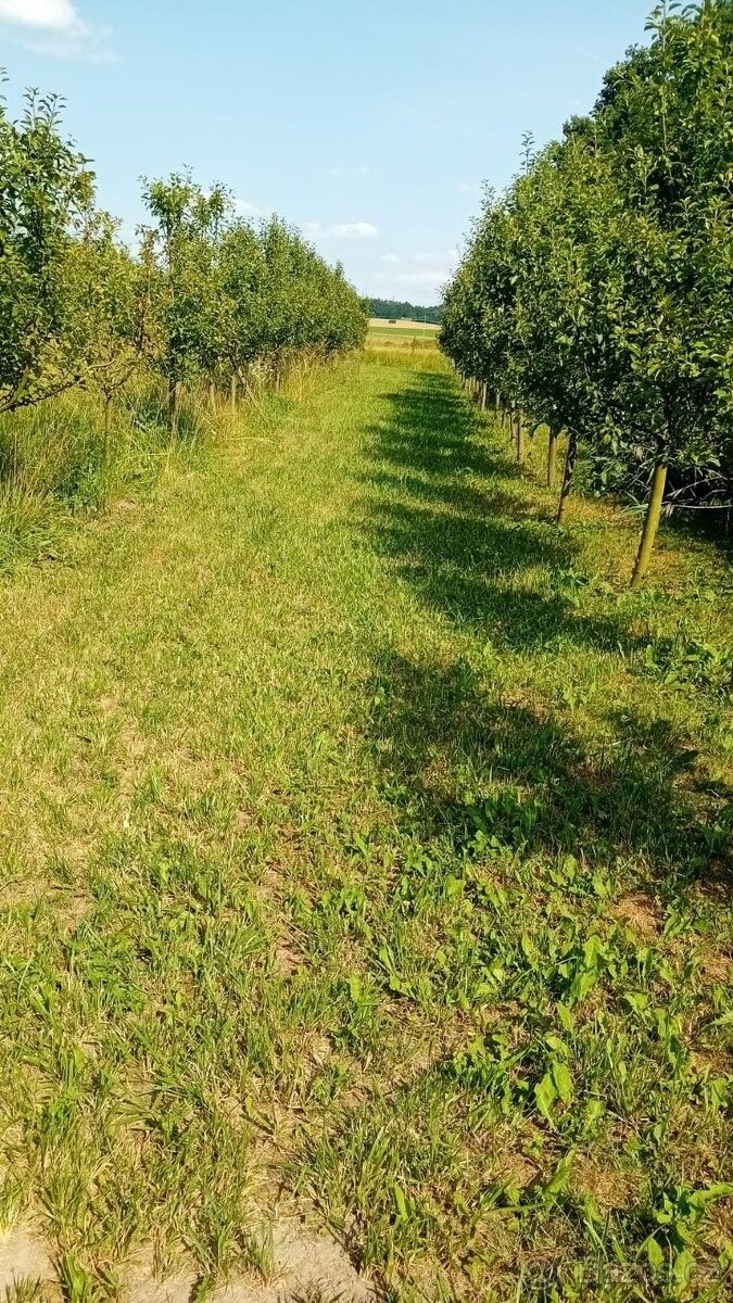 Pozemky pro bydlení, Milovice nad Labem, 289 23