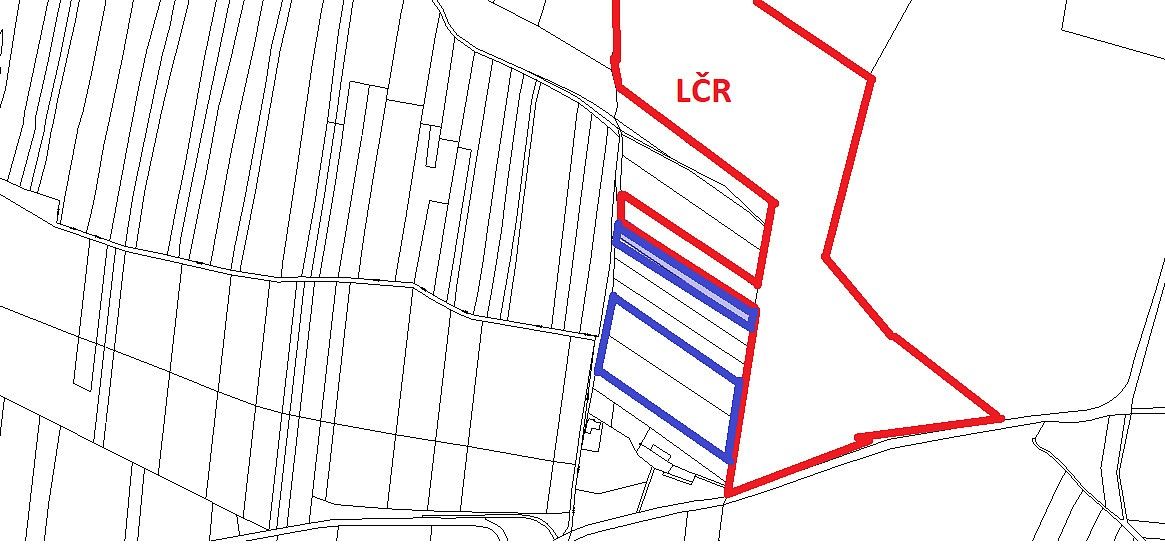 Les · Stehlovice, okres Písek, Jihočeský kraj - 4