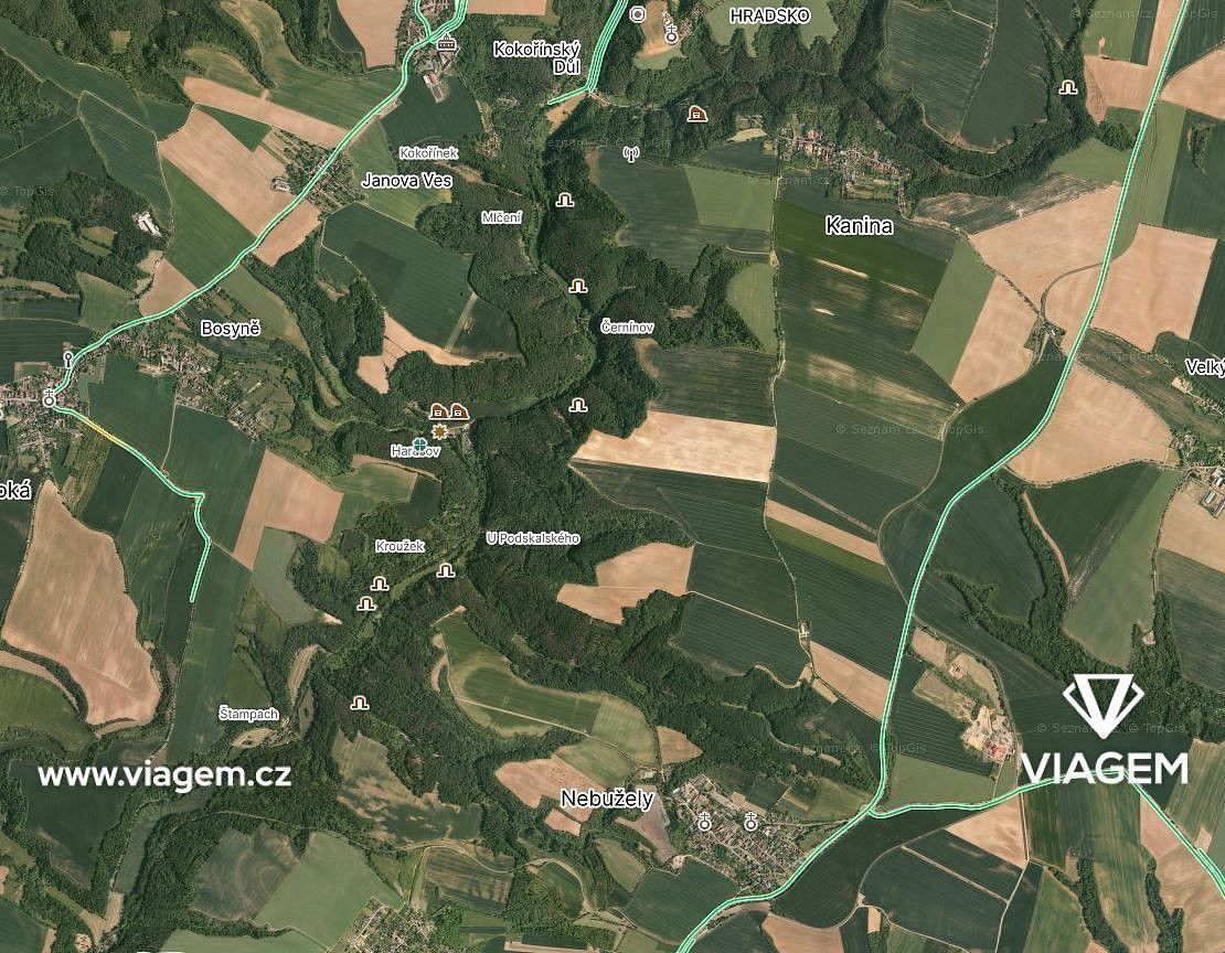 Les · Kokořín, okres Mělník, Středočeský kraj - 3