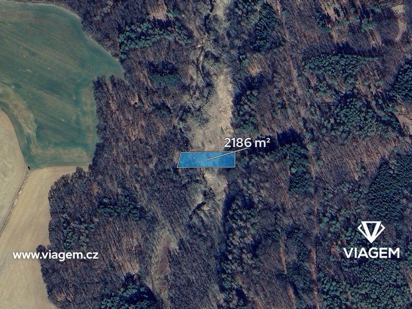 Prodej zemědělský pozemek - Toušice, okres Kolín - 2