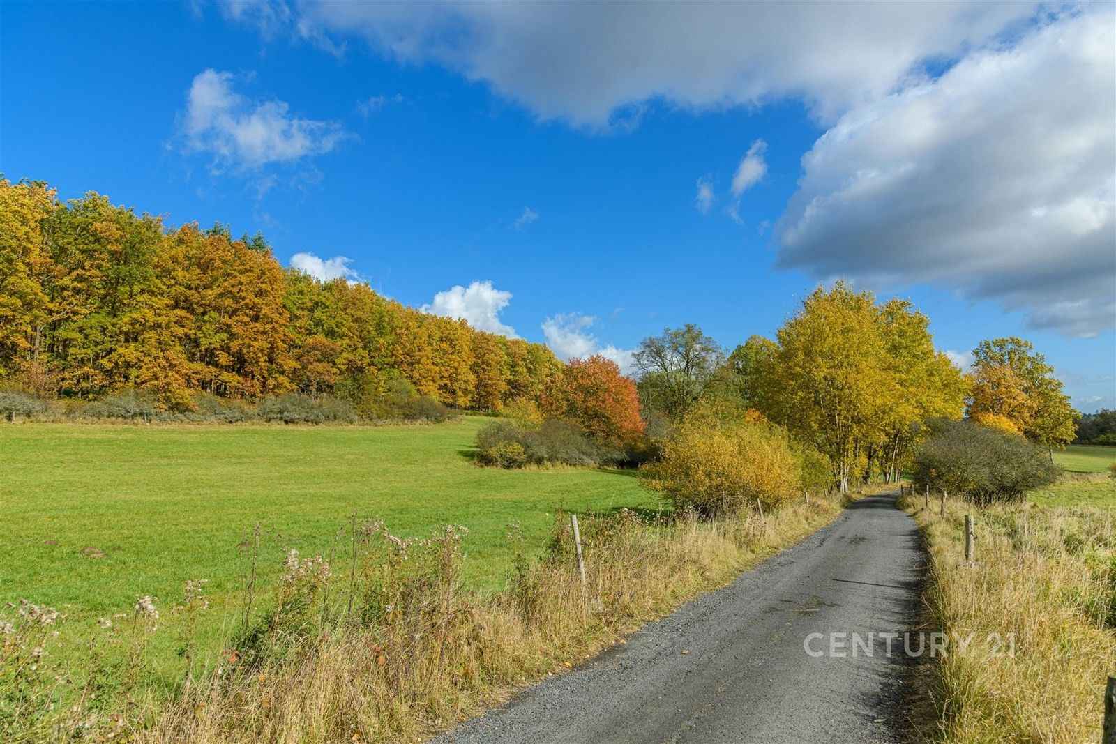 Pozemky pro bydlení, Prachatice
