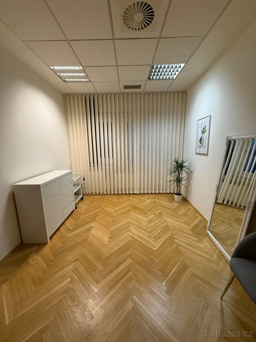 Ostatní, Praha, 110 00