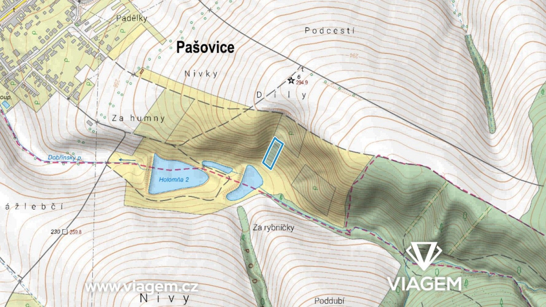 Zahrada · Pašovice, okres Uherské Hradiště, Zlínský kraj - 3