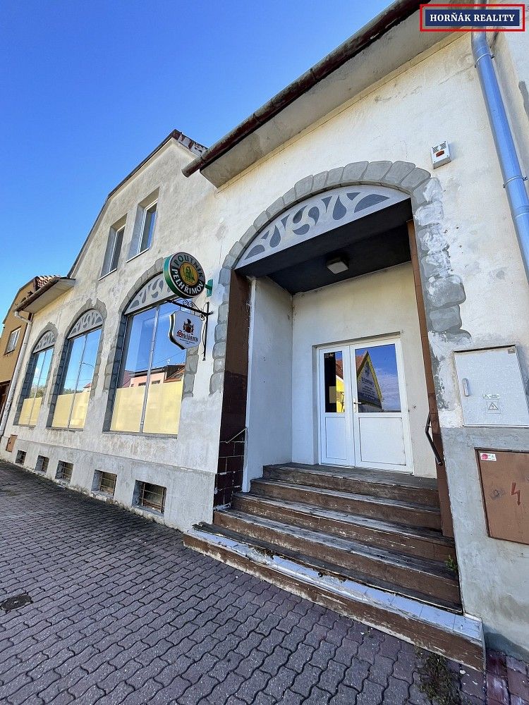 Restaurace, Nádražní, Bučovice, okres Vyškov, 207 m² - 2
