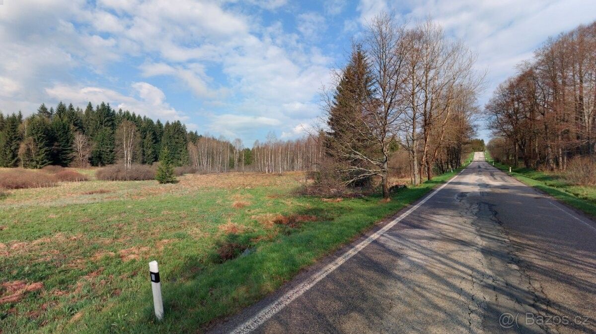 Pozemek pro bydlení · Vyšší Brod, 382 73 - 4