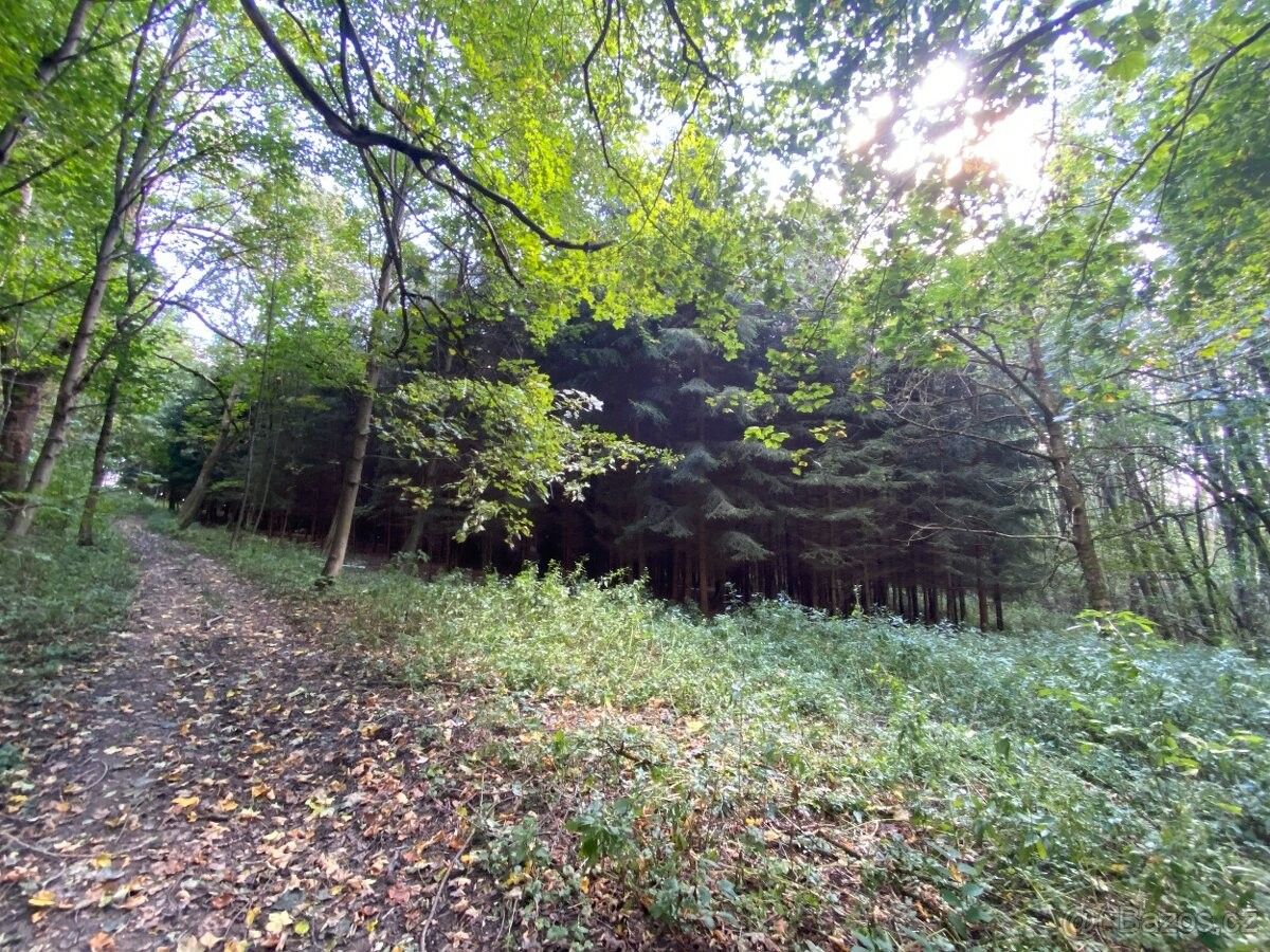 Pozemky pro bydlení, Lánov, 543 41