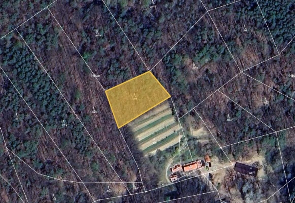 Lesy, Stříbrnice, 899 m²