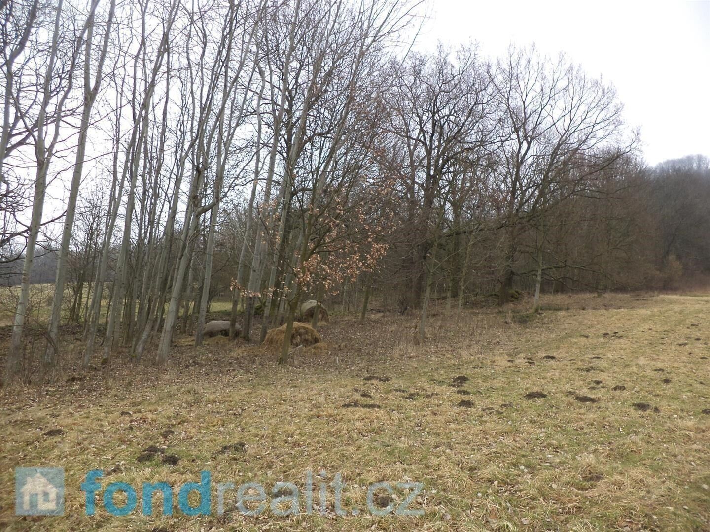 Zemědělský pozemek · 5 161 m² · Česká Kamenice Horní Kamenice - 3