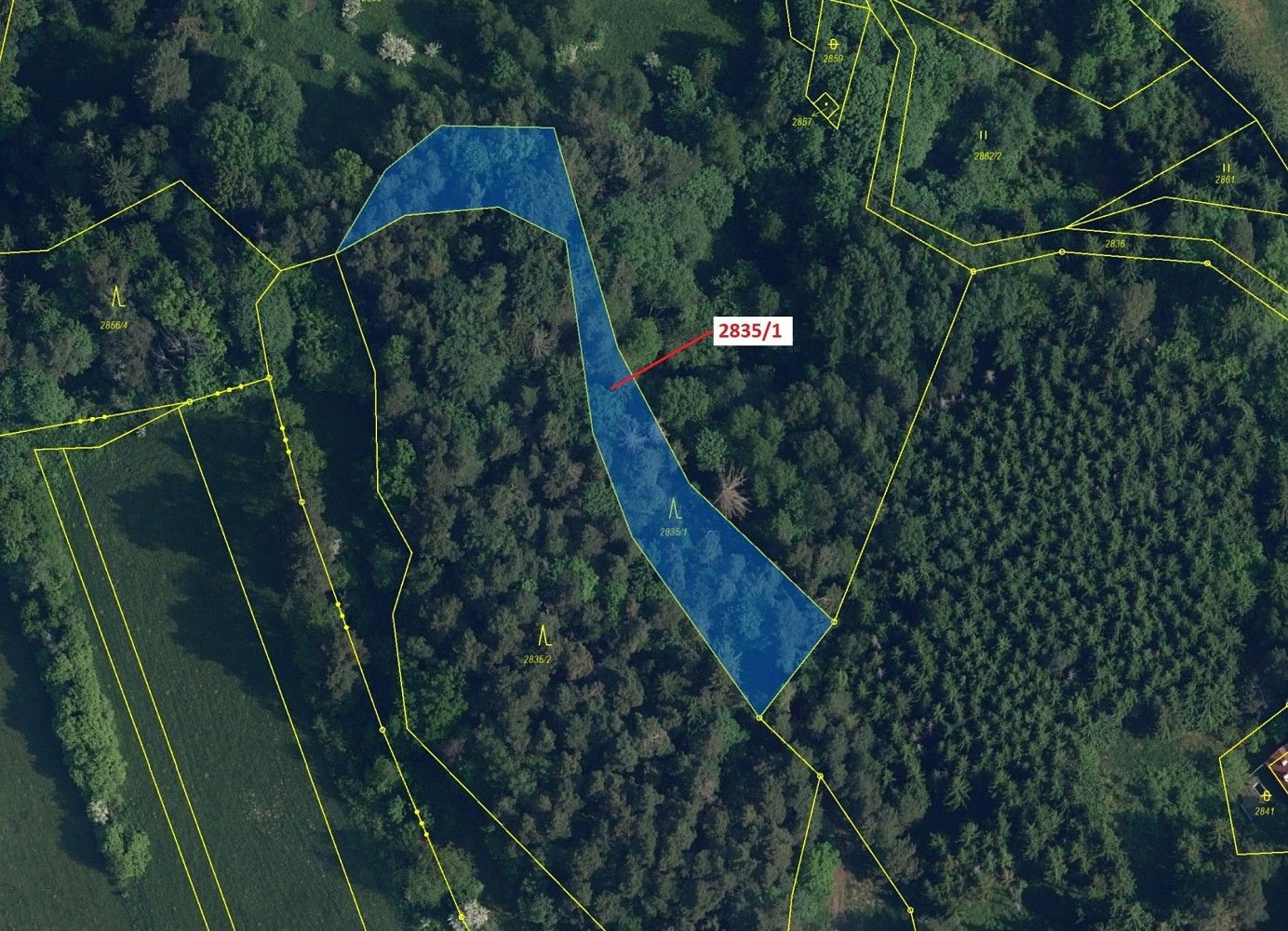 Prodej les - Český Dub, okres Liberec, Liberecký kraj - 2