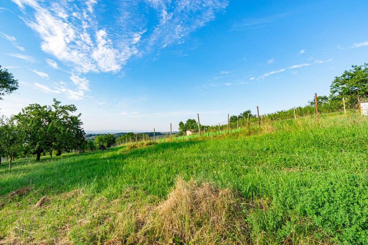 Zahrada · Kudlovice, okres Uherské Hradiště, Zlínský kraj - 4