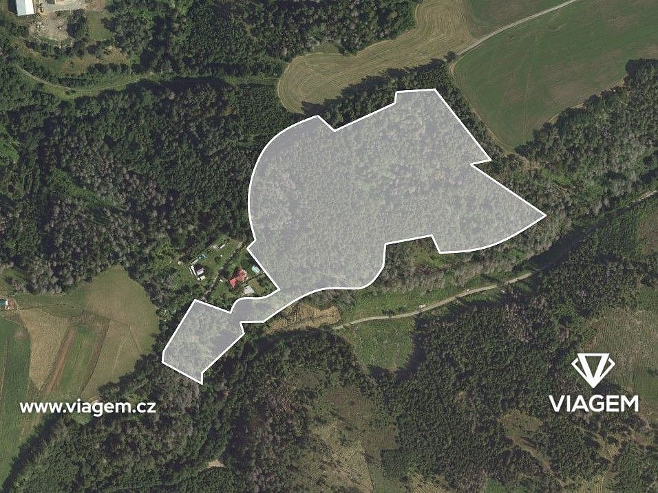 Prodej les - Letovice, okres Blansko, Jihomoravský kraj - 2