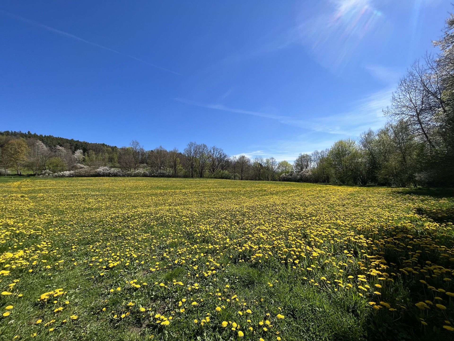 Prodej zemědělský pozemek - Kájov Staré Dobrkovice, 15 428 m² - 5