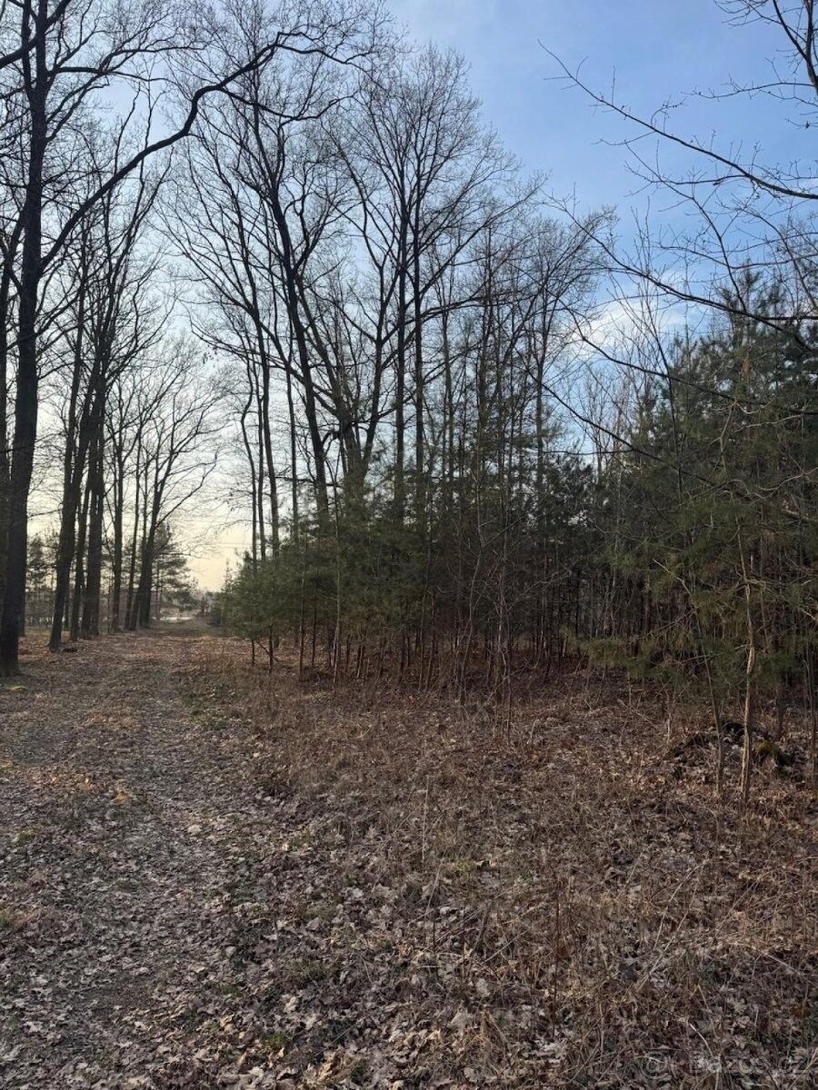 Pozemky pro bydlení, Opatovice nad Labem, 533 45