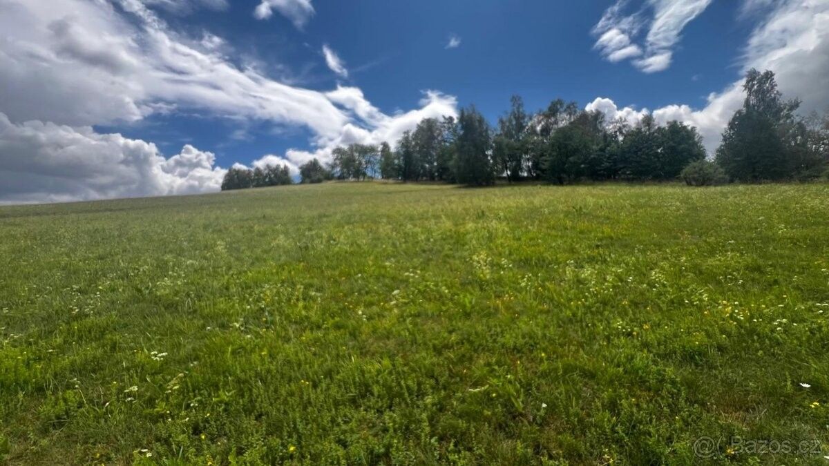 Pozemek pro bydlení · Ruda nad Moravou, 789 63 - 4