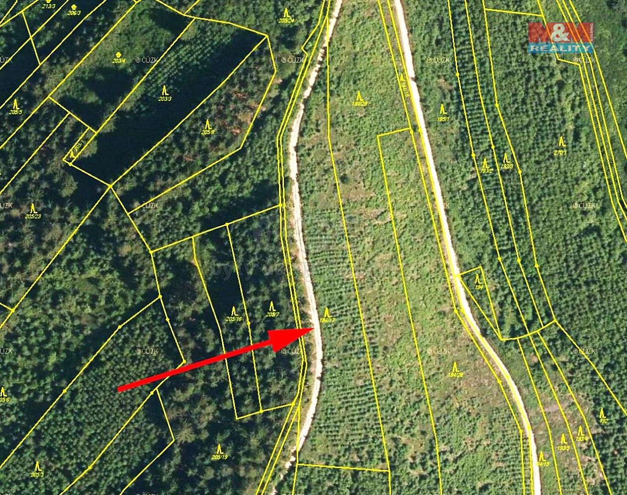 Les · Lhota u Vsetína, okres Vsetín, Zlínský kraj - 4