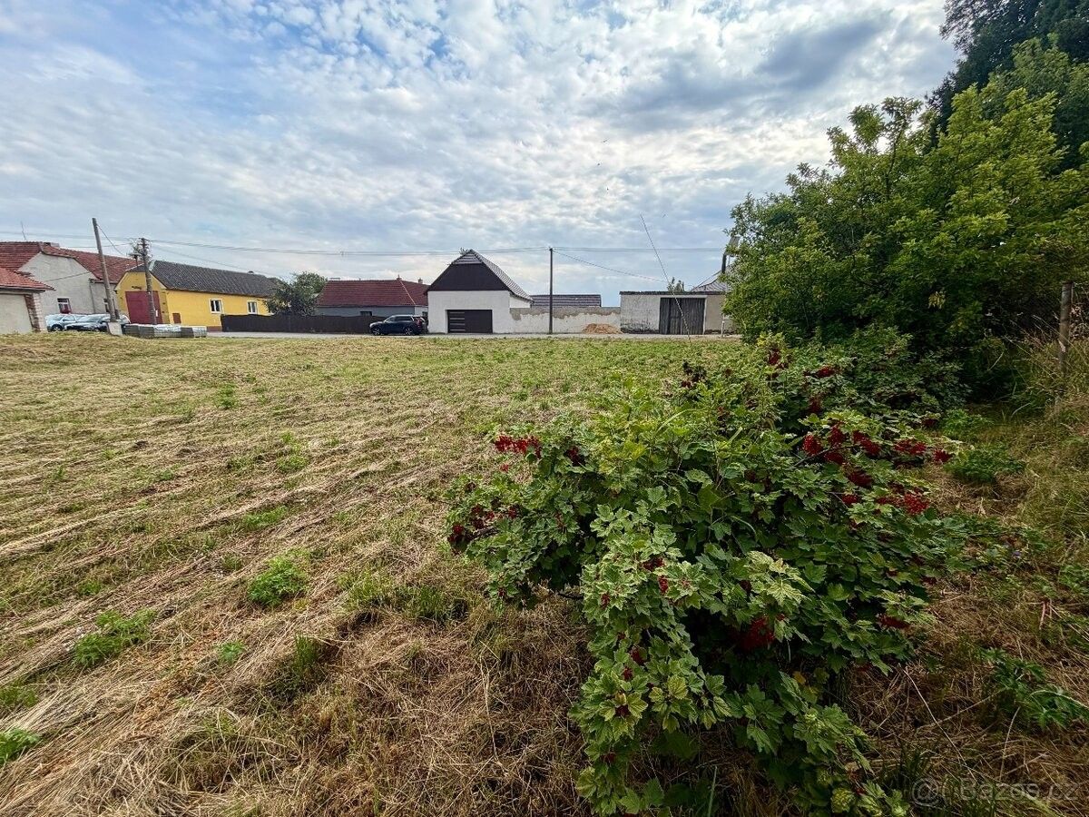 Prodej pozemek pro bydlení - Nová Říše, 588 65 - 5