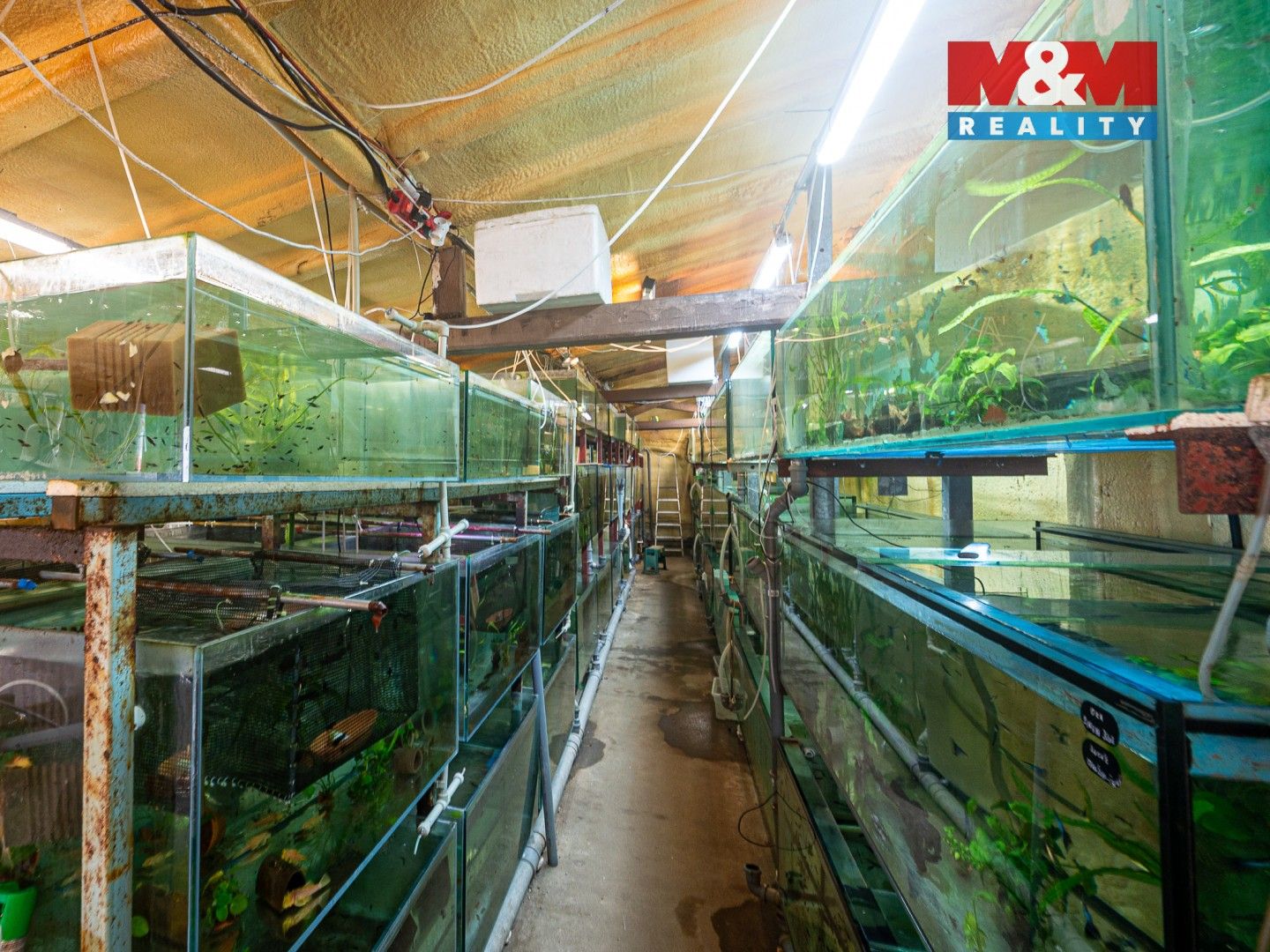 Obchodní prostory · 64 m² · Hlavní, Senohraby - 4
