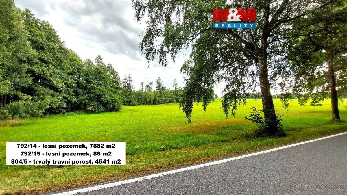 Pozemky pro bydlení, Kochánov, 582 53