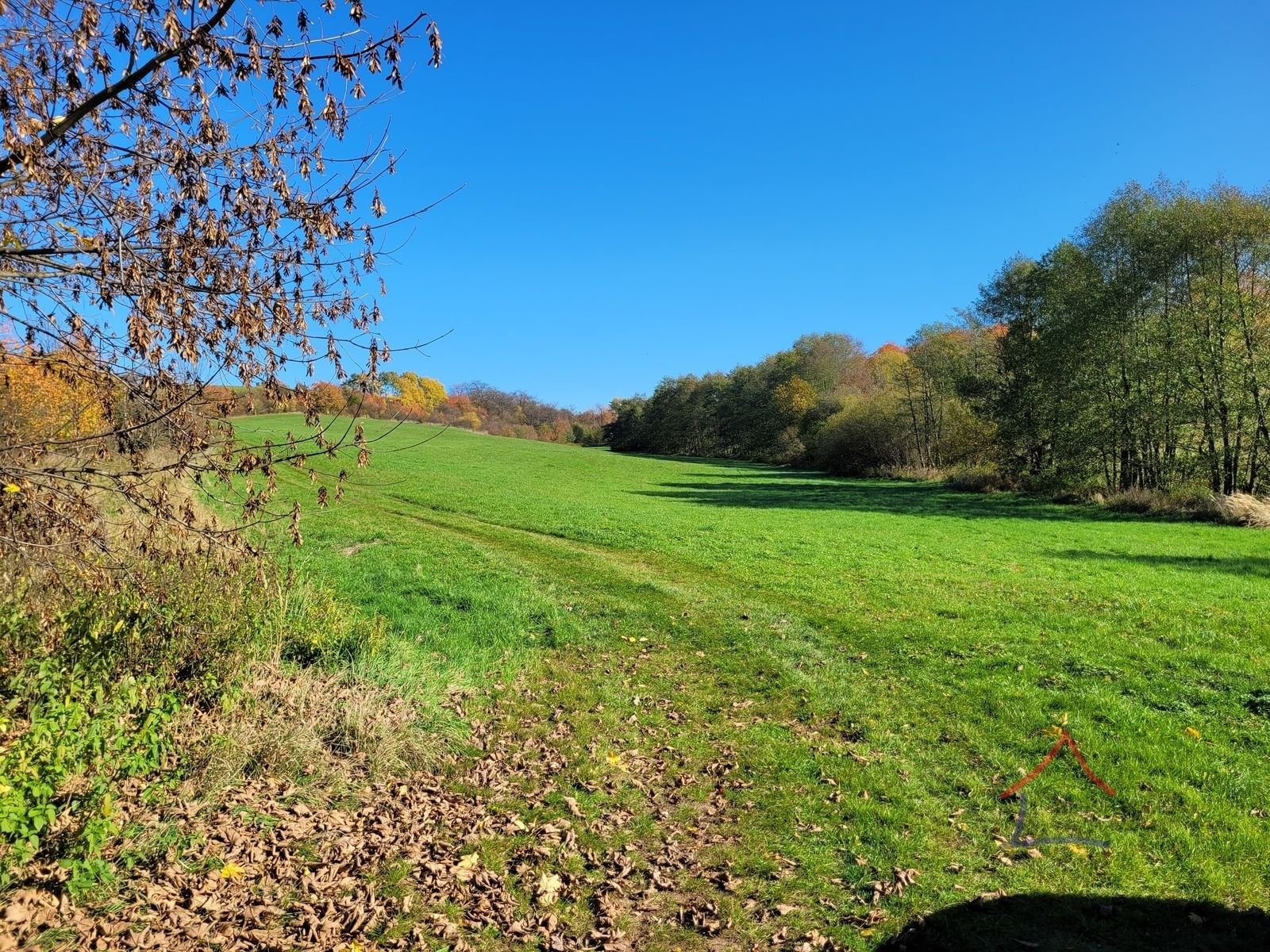 Prodej louka - , Broumov, 52 m²