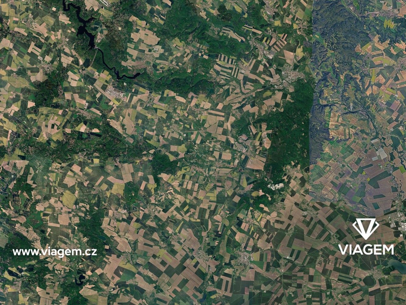 Les · Rybníky, okres Znojmo, Jihomoravský kraj - 3
