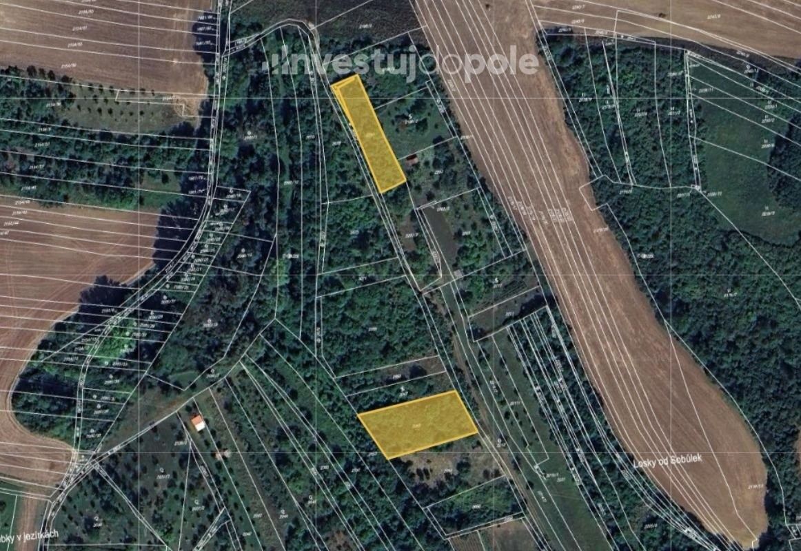 Prodej zemědělský pozemek - Svatobořice, 696 04, 2 398 m²