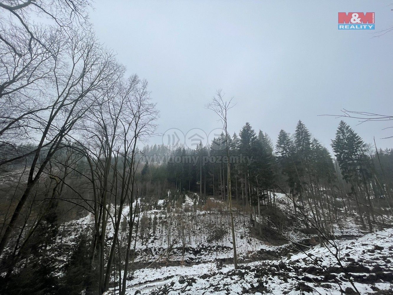 Prodej les - Záhoří - Smrčí, okres Semily, Liberecký kraj - 5