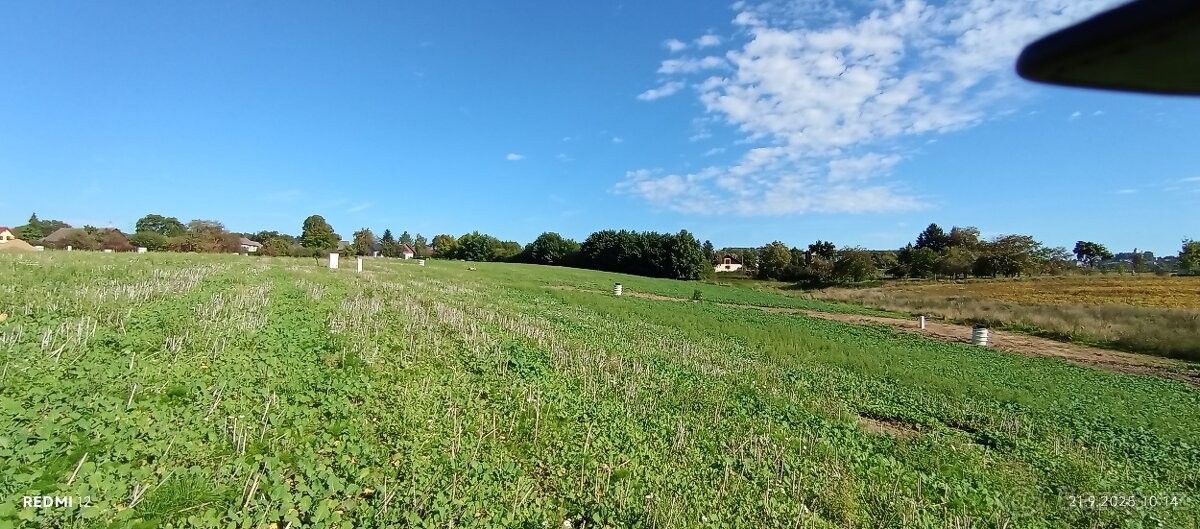 Pozemky pro bydlení, Sychrov, 463 44