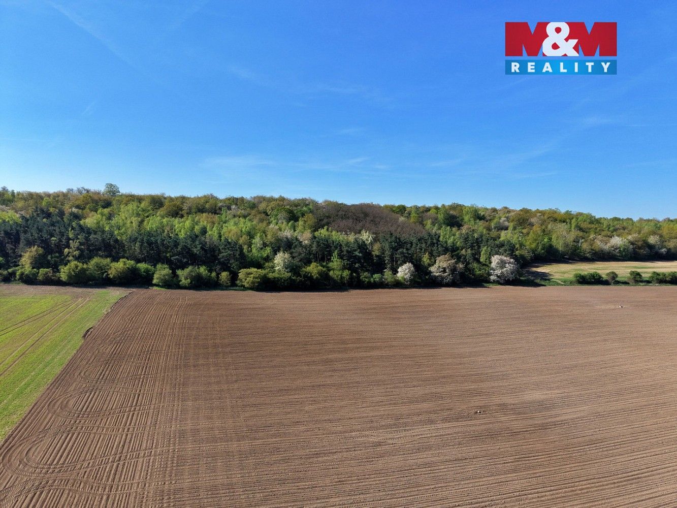 Prodej les - Kounice, okres Nymburk, Středočeský kraj - 5