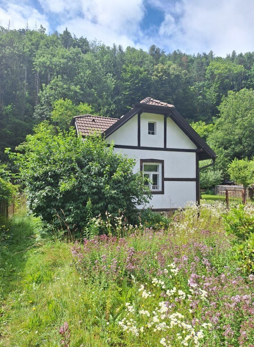 Chaty, Stříbrná Skalice - Stříbrná Skalice, Středočeský kraj, 42 m² - 1