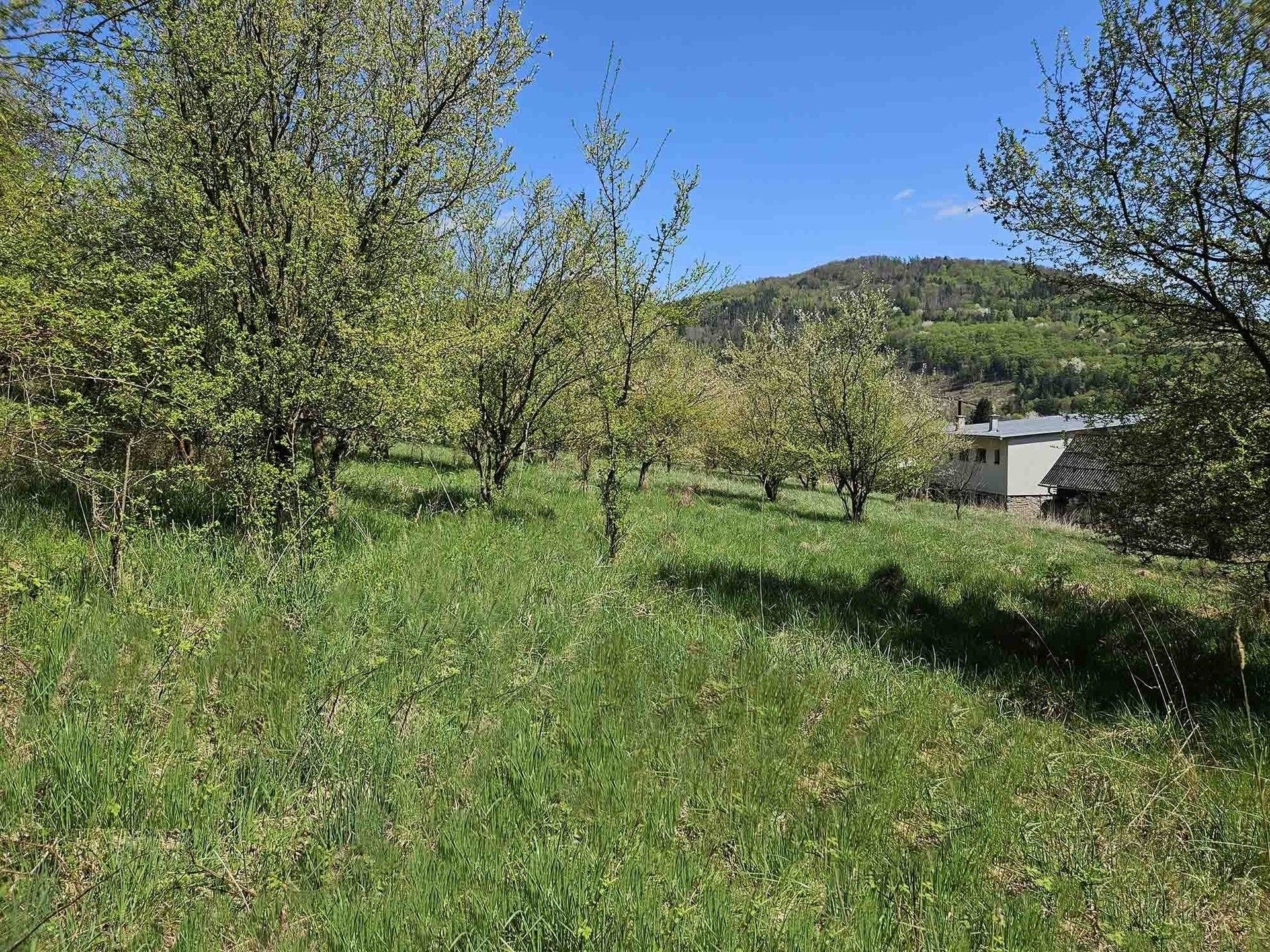 Prodej pozemek pro bydlení - Štěpánov nad Svratkou