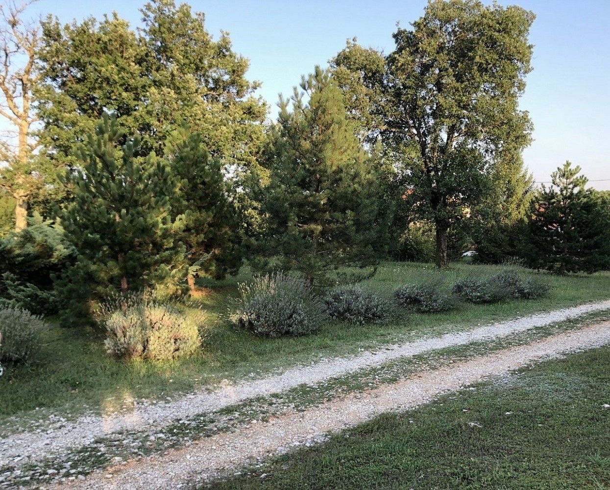 Pozemek pro bydlení, 1 220 m²