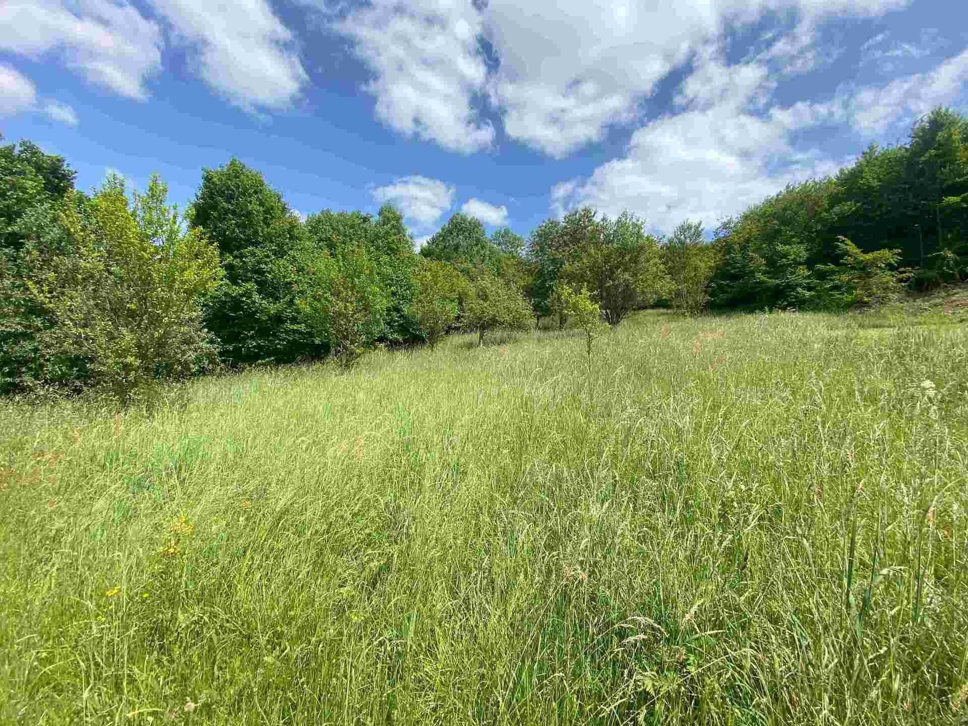 Pozemek pro bydlení, 2 790 m²