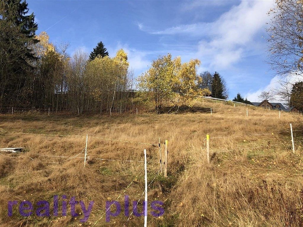 Louky, Bedřichov, okres Jablonec nad Nisou, Liberecký kraj - 2
