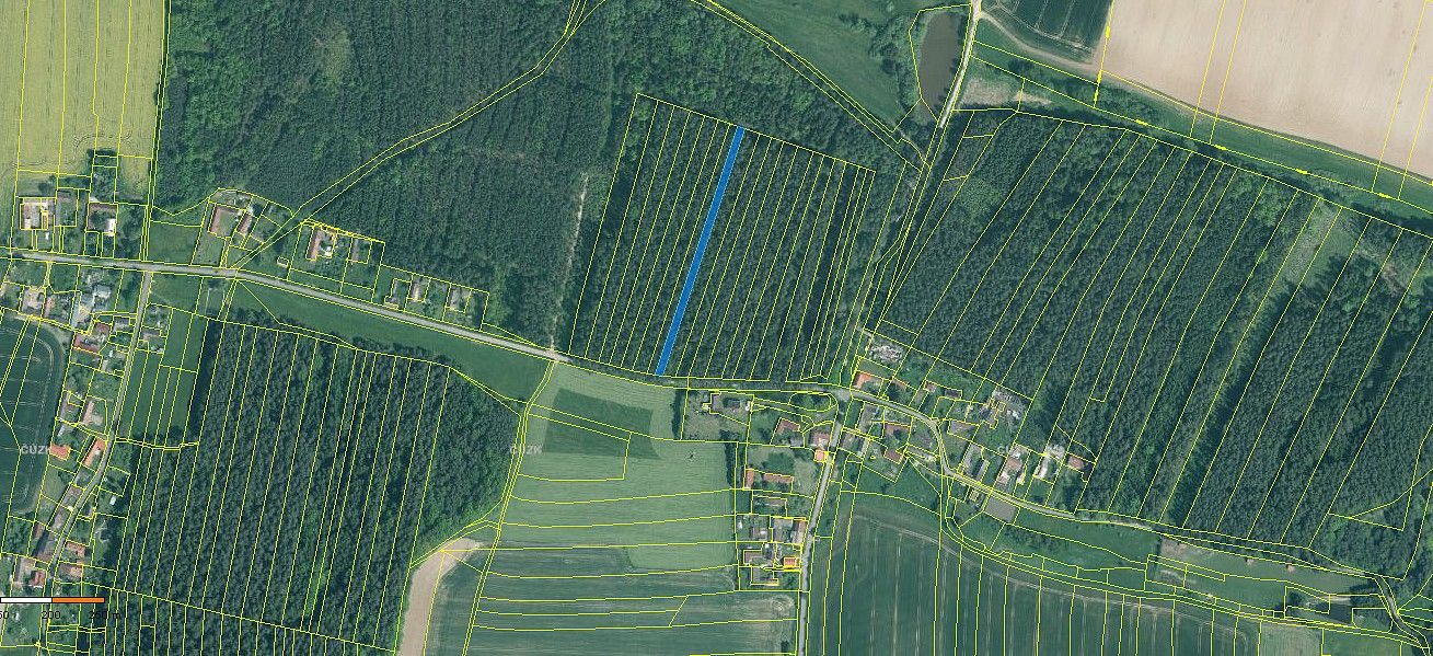 Les · Dražíč, okres České Budějovice, Jihočeský kraj - 2