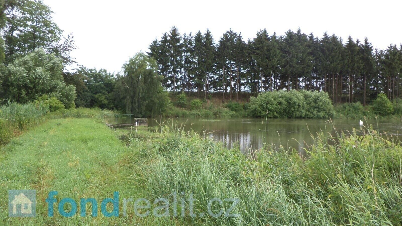 Pozemek · 4 992 m² · Třebařov - 3