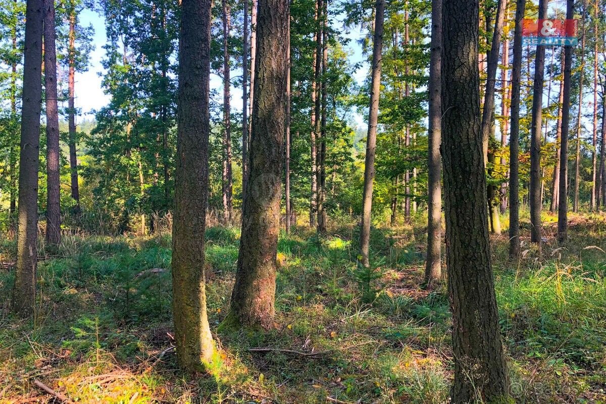 Lesy, Písek, 397 01, 11 192 m²