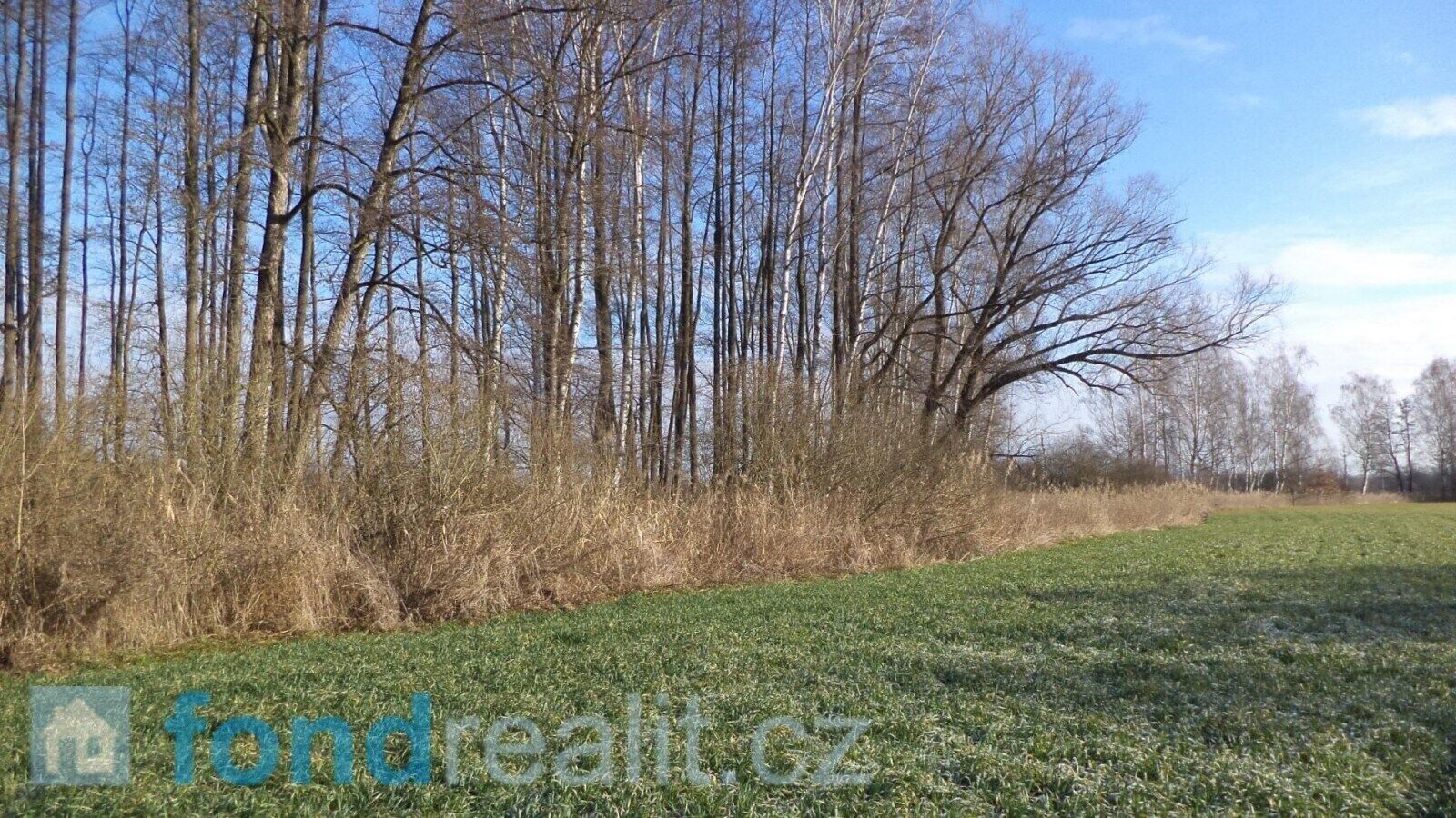 Ostatní, Čejetice Sudoměř, 41 773 m² - 2