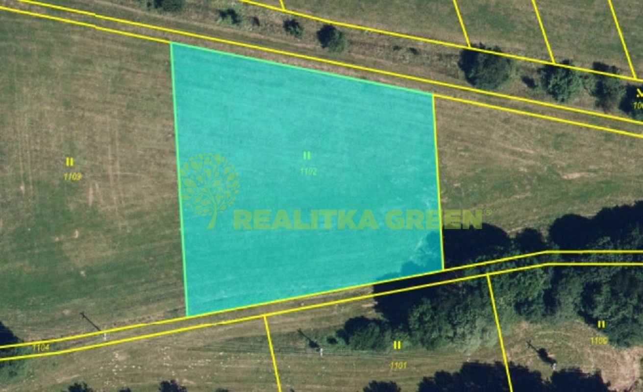 Prodej zemědělský pozemek - Křemenec, Konice, 21 953 m²