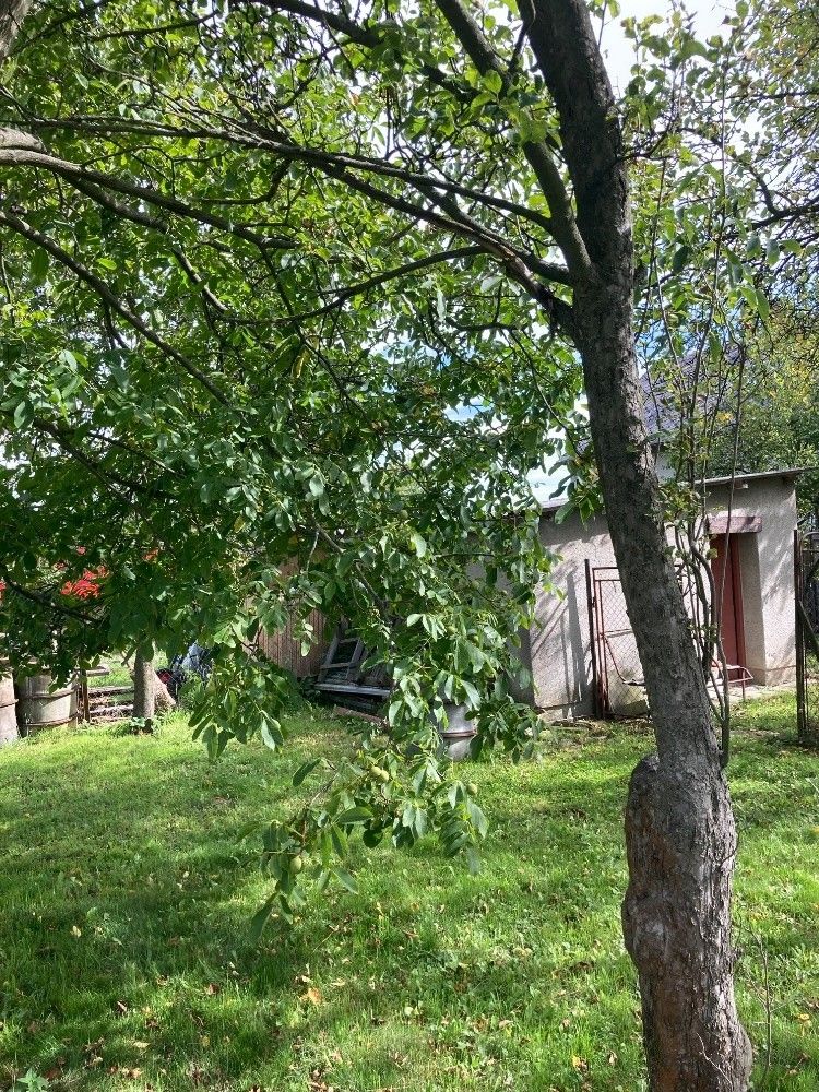 Prodej rodinný dům - Mikulovice u Jeseníku, 790 84 - 5