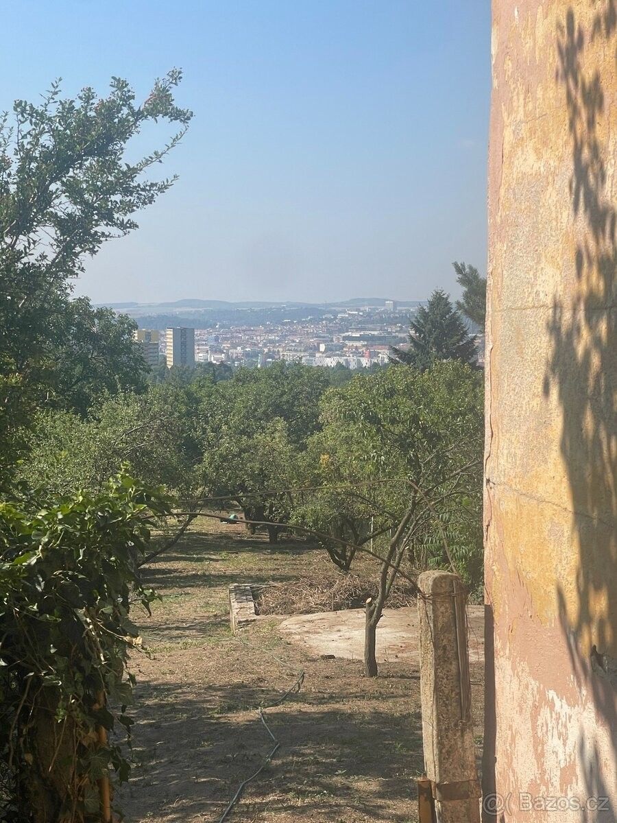 Zahrada