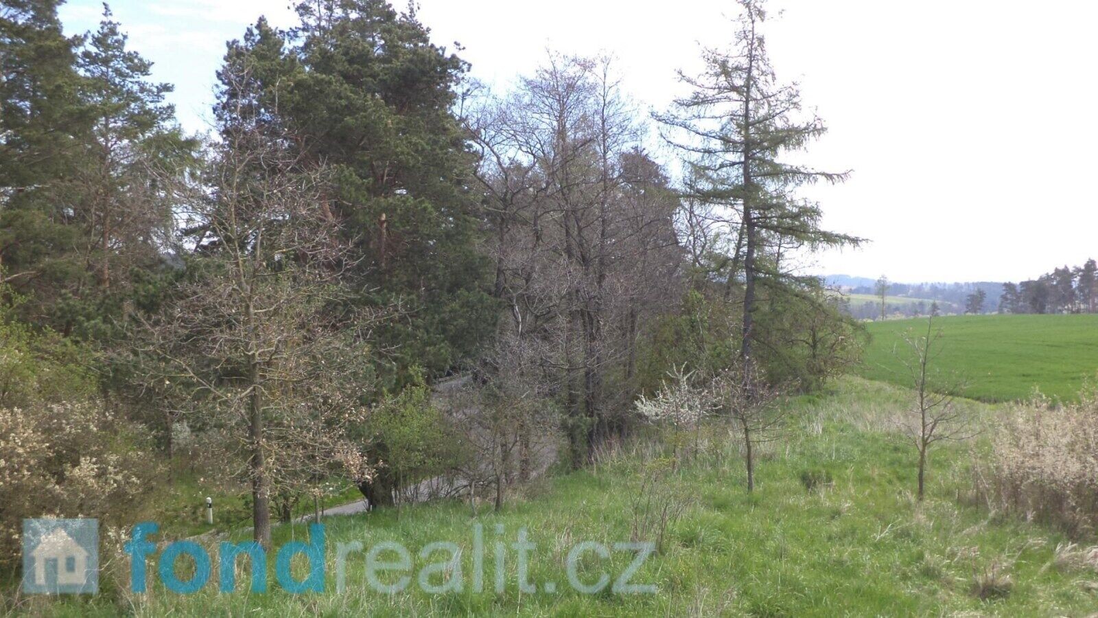 Prodej pozemek - Dešná Dančovice, 1 277 m² - 5