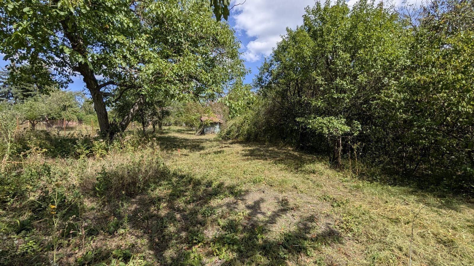 Zahrady, Zaječí hora, Brno, 463 m² - 2