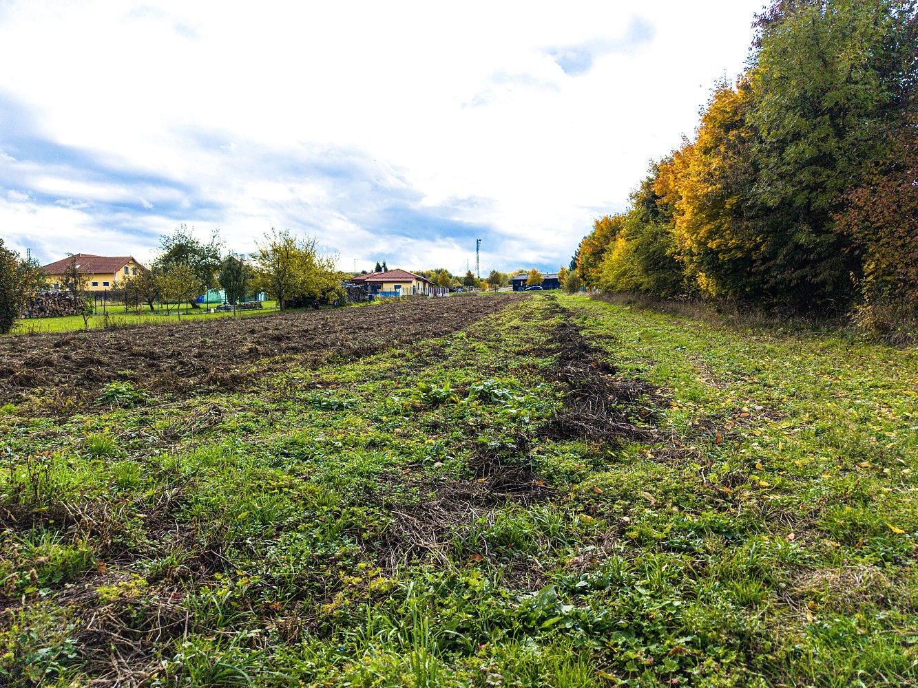 Pozemek pro bydlení · Slavonice, okres Jindřichův Hradec, Jihočeský kraj - 4